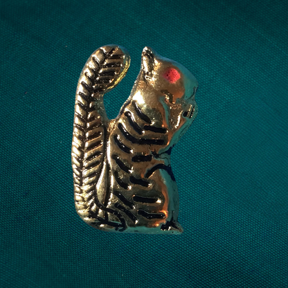 Supports de ceinture d’écureuil (ensemble de 2)